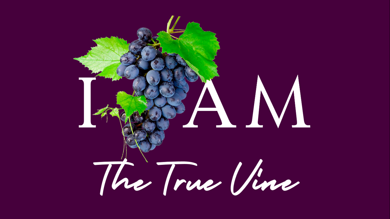 I Am The True Vine Explained